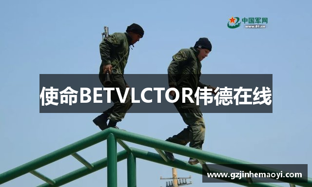 使命BETVLCTOR伟德在线